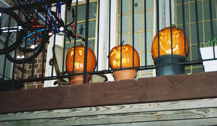 pumpkins-outside (0)