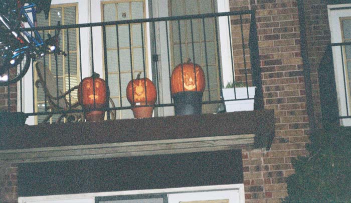 pumpkins-outside (1)