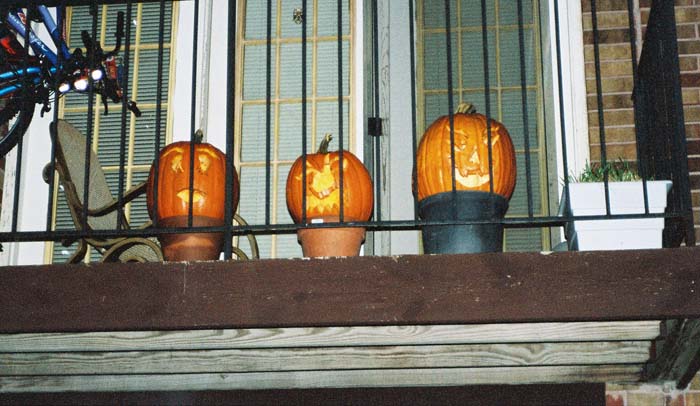 pumpkins-outside (2)